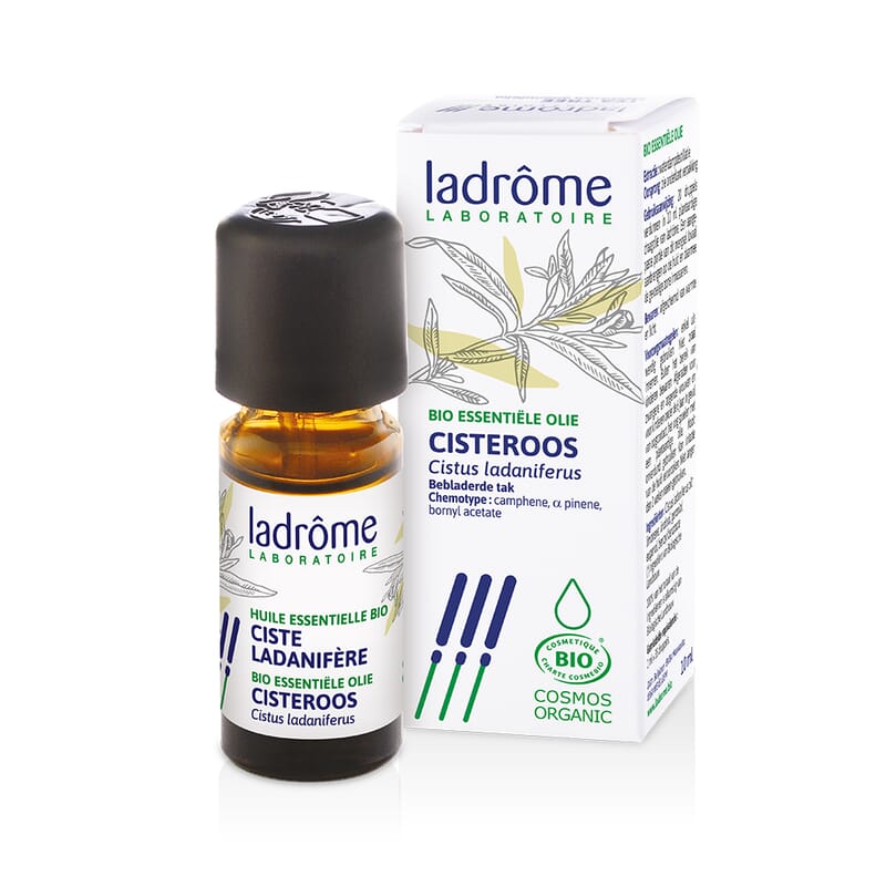 Wilde roos / cisteroos etherische olie bio
